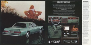 1980 Plymouth Gran Fury-02-03.jpg